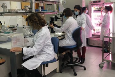 3.-IVIA-labs