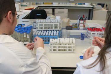 4.-IVIA-labs