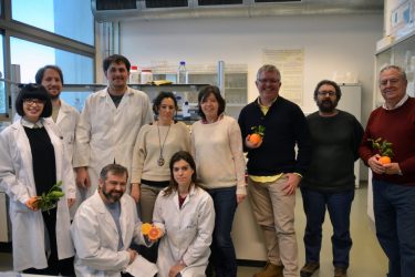 7.-IVIA-researchers