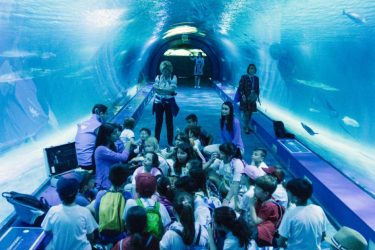 8.-Valencia-oceanografic