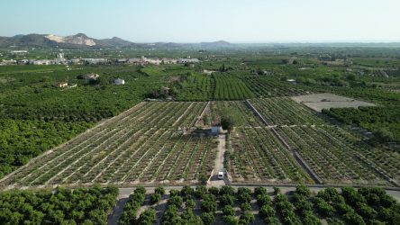 campo-pego-dron2.1